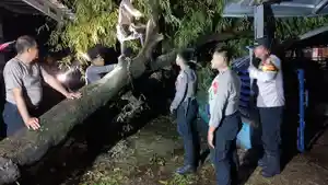 Angin-puting-beliung-di-Tukdana-Indramayu-1.jpg