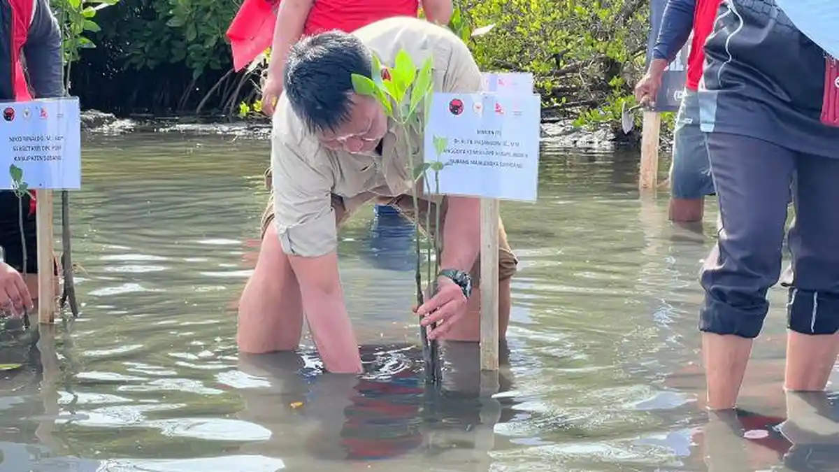 Berita Subang: TB Hasanuddin dan Nelayan Nyebur ke Laut untuk Lakukan Ini di Pesisir