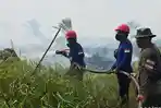 Panas Terik Hingga Angin Kencang Hambat Pemadaman, Karhutla di Kerumutan Pelalawan Belum Padam