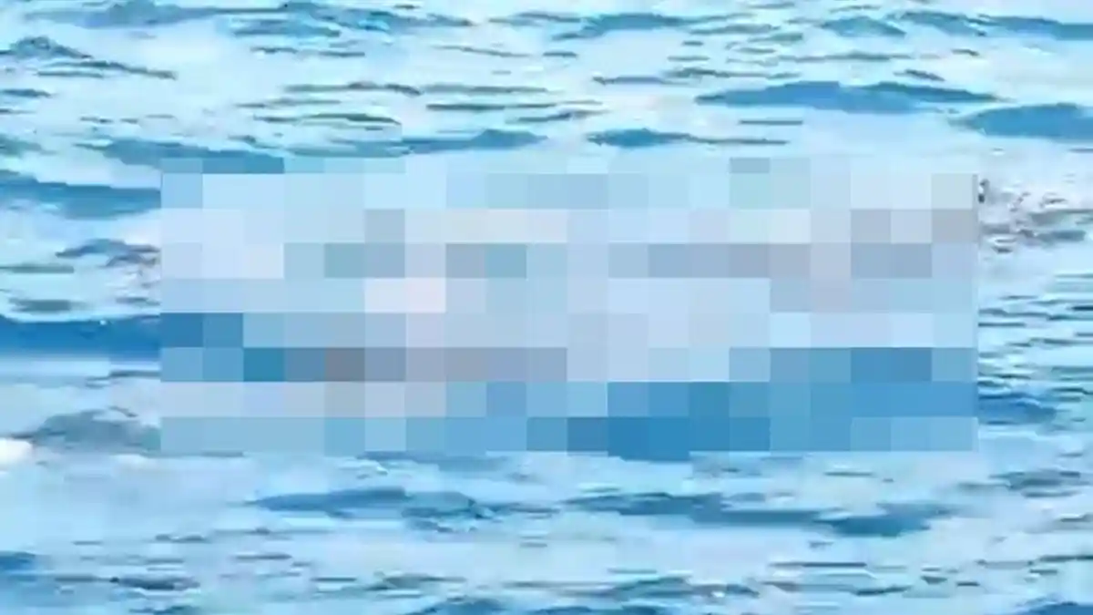 Breaking News, Tim SAR Temukan Mayat di Laut Natuna saat Hari Ketiga Pencarian Awak KM Ocean Three - Tribunbatam.id
