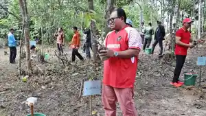20250204_Hutan-Kerangas-IKN-Nusantara.jpg