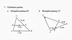 Soal-Latihan-44-Nomor-7-Buku-Matematika-SMP-Kelas-9-Halaman-256.jpg