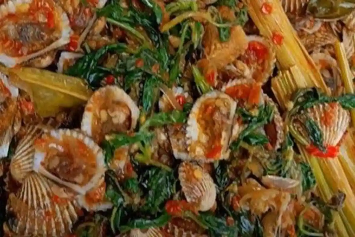 Resep Makanan, Kerang Dara Pedas dengan Aroma Kemangi yang Menggoda Bikin Nagih