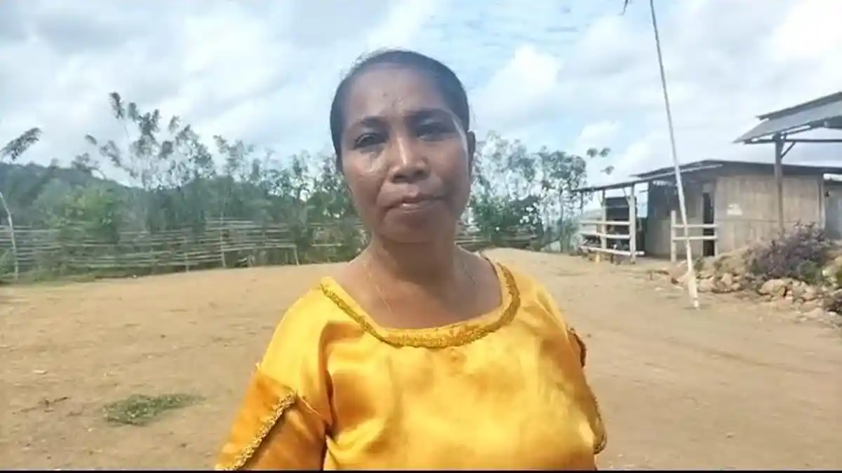 Curhat Petani di Sikka, Anaknya mendapatkan Beasiswa di SMK St Markus Kaliwajo 