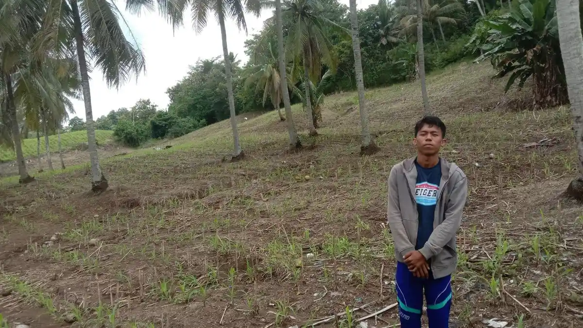 Cerita Rahmat Ismail jadi Petani Muda di Gorontalo Utara, Kuliah Sambil Ngurus Satu Hektar Kebun