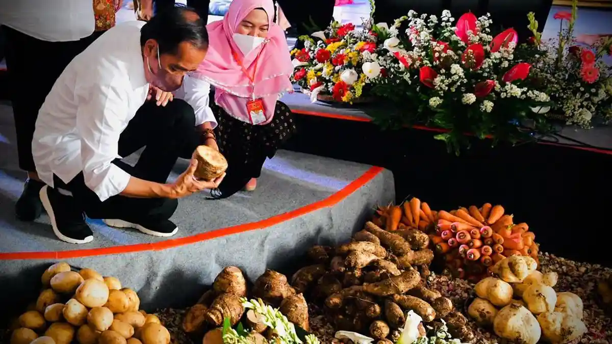 PRESIDEN Jokowi: Jangan Ada Tanah Telantar, Tanami Tanaman Pangan