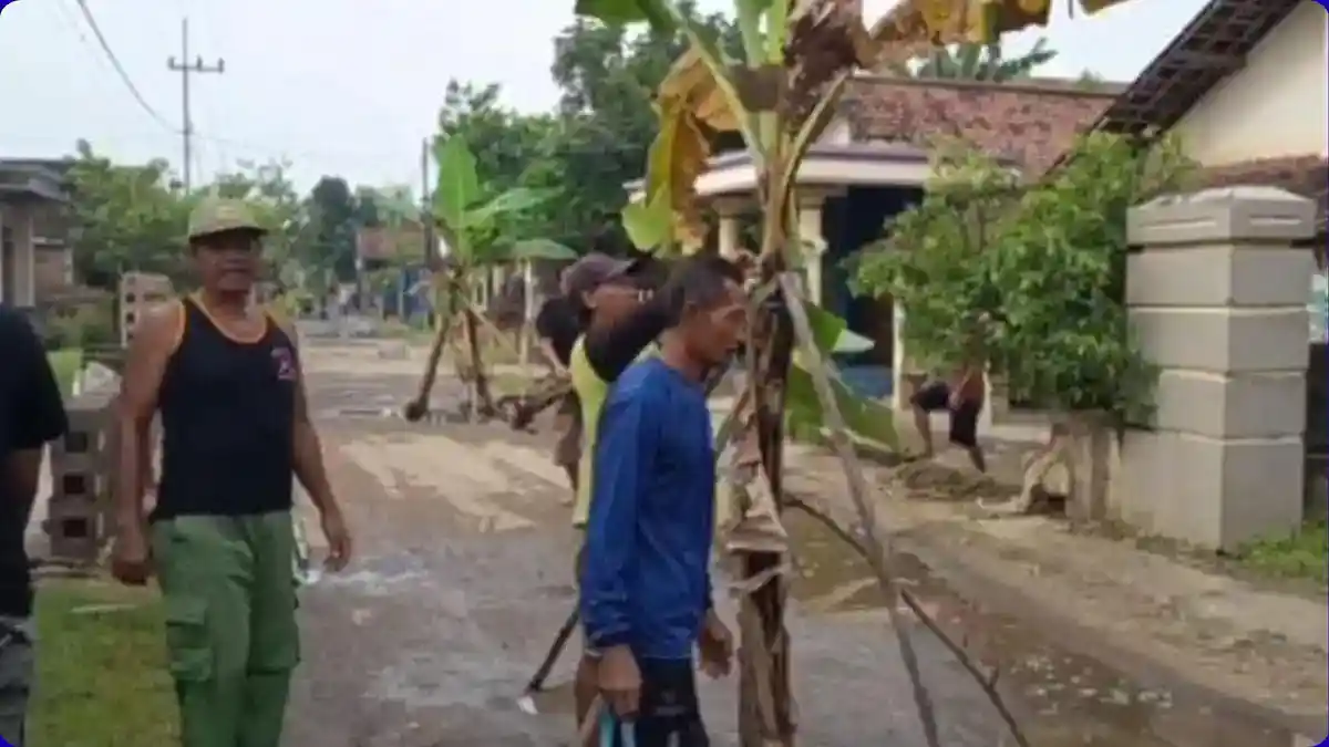Jalan Rusak 10 Tahun, Warga Nganjuk Tebar Lele dan Tanam Pisang