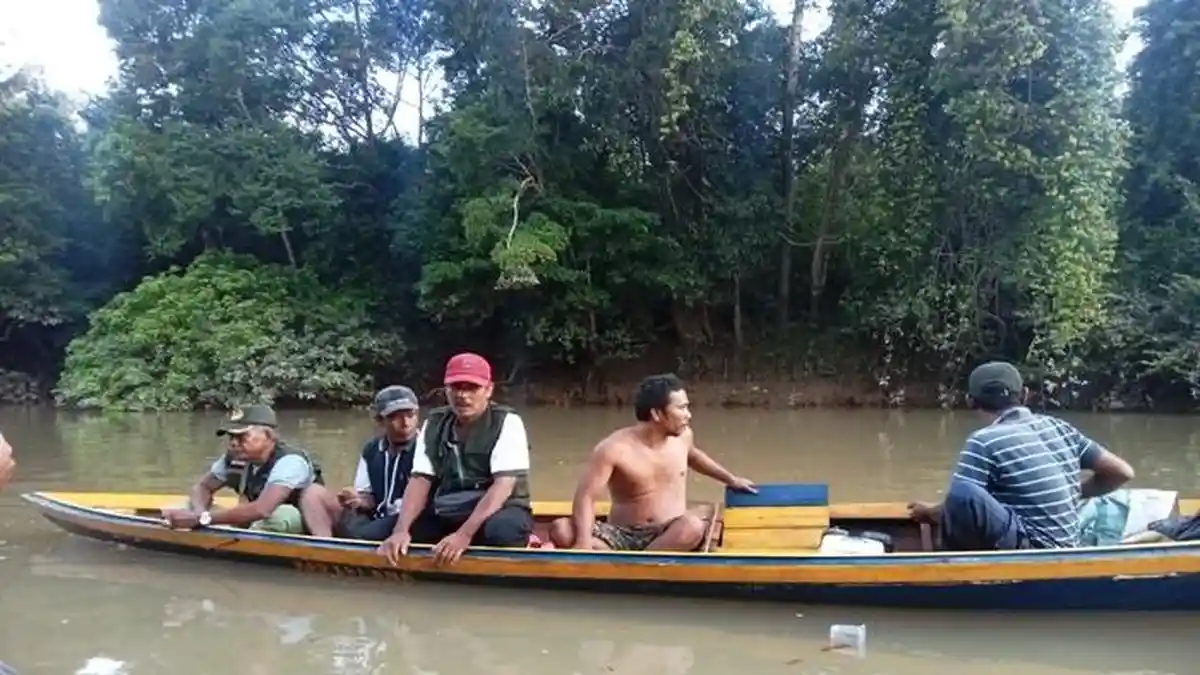 Sungai Rambang Tercemar Limbah Sawit dari Muaraenim, Ikan Mendadak Mati ...