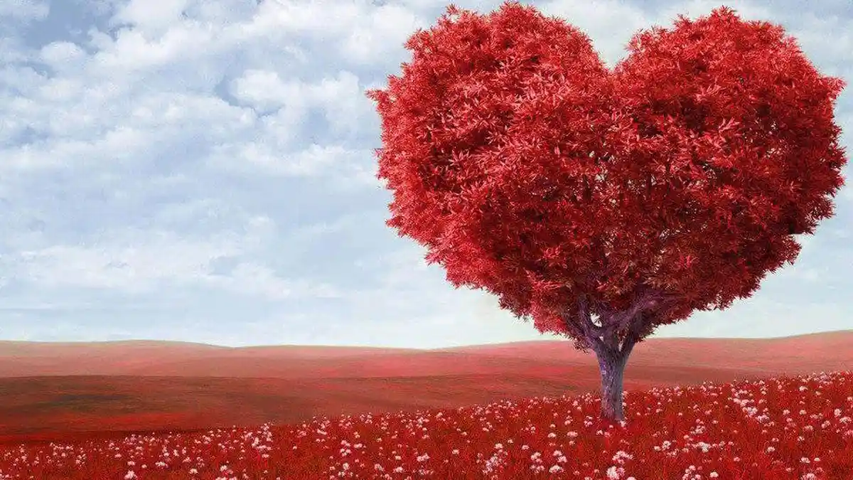 9 Elemen Feng Shui yang Bawa Keberuntungan Cinta di Tahun 2019