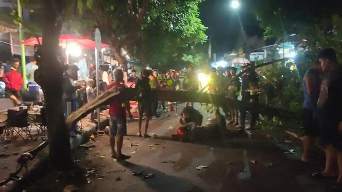 Pengendara Motor di Kediri Tabrak Patahan Pohon yang Jatuh Usai Tersangkut Truk Tronton