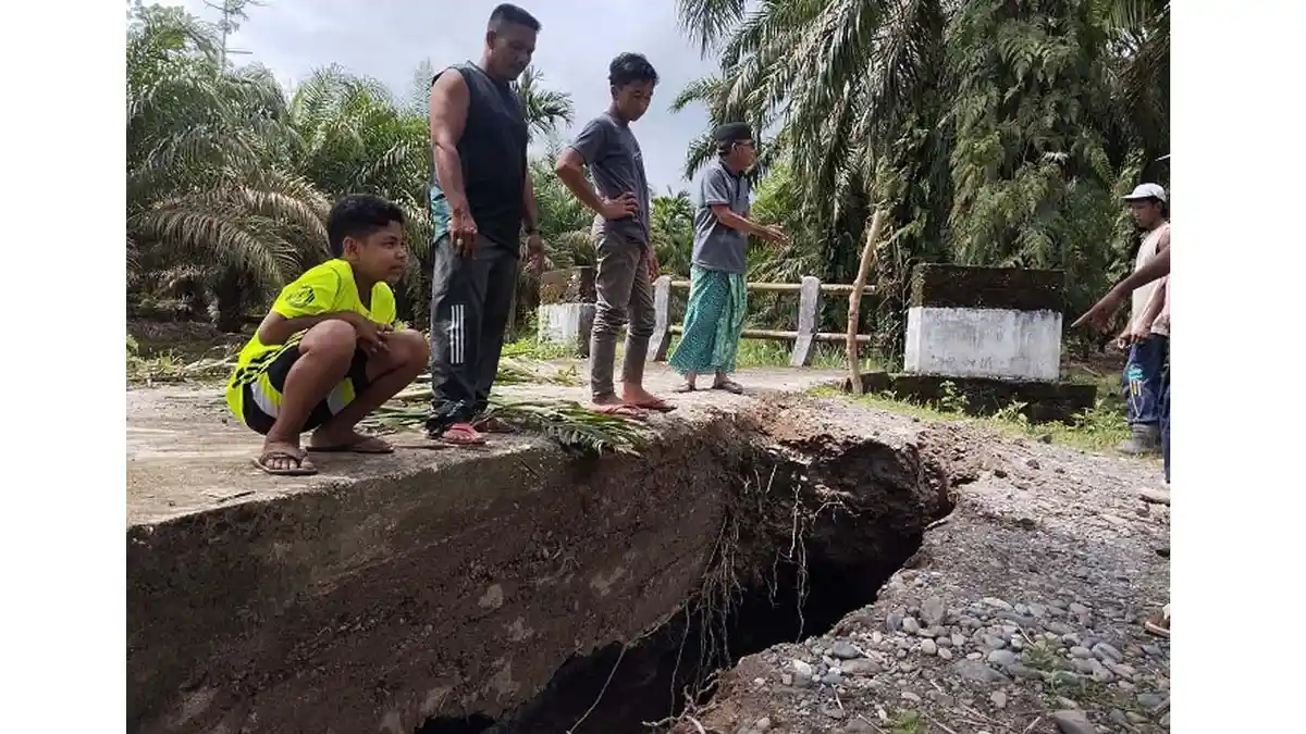 Jembatan di Dusun Setia Ujong Krueng Amblas, Petani Terkendala Angkut Hasil Perkebunan