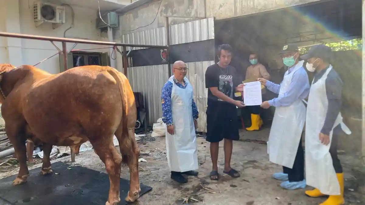 Sapi Kurban Presiden Prabowo di Bondowoso Capai 1 Ton, Dibeli Rp 107 Juta