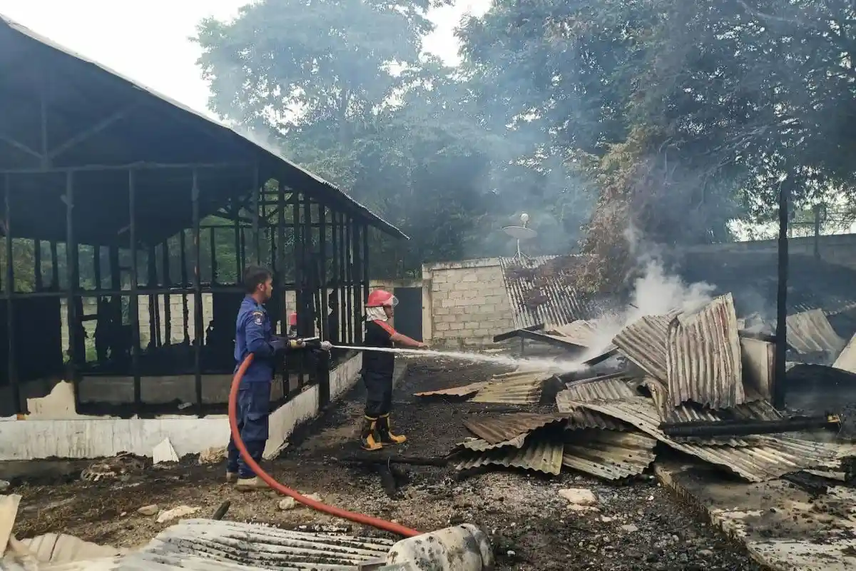 Gudang dan Laboratorium PT AMP PDP di Aceh Besar, Ludes Terbakar saat Karyawan Sedang Istirahat