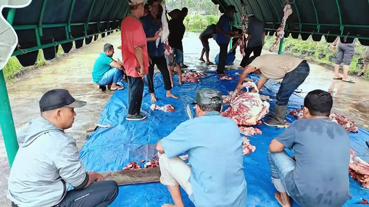 Gampong Ateuk Mon Panah Salurkan Daging Meugang untuk Masyarakat