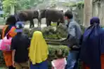 Suasana Taman Margasatwa Ragunan Saat Libur Natal