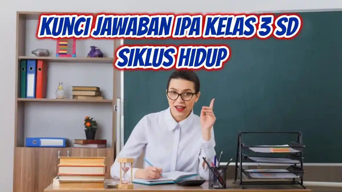 Mengenal Padi Melalui Siklus Hidup yang Dilalui, Kunci Jawaban IPA Kelas 3 SD Kurikulum Merdeka