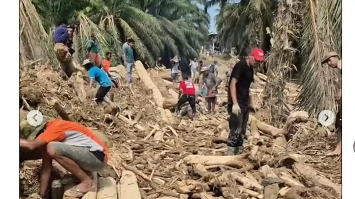 Teror Terhadap Influencer Sama dengan Pelecehan Korban Banjir Sumatra ​