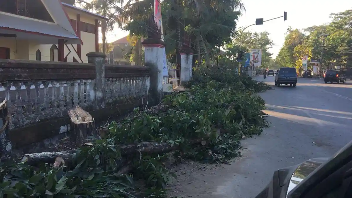 Legislator Gowa Minta Pemkab Gowa Beri Penjelasan Soal Aksi Penebangan Pohon