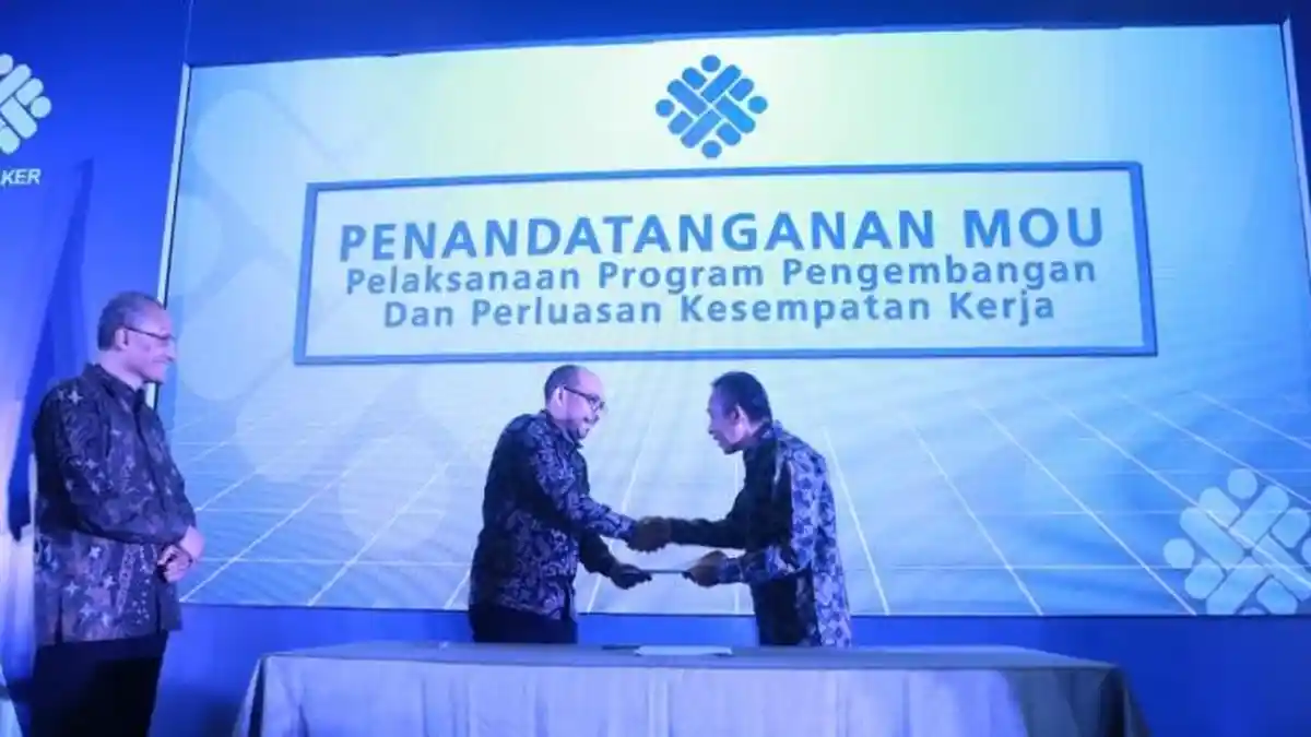 Pemerintah Terus Kembangkan Skema Perluasan Kesempatan Kerja