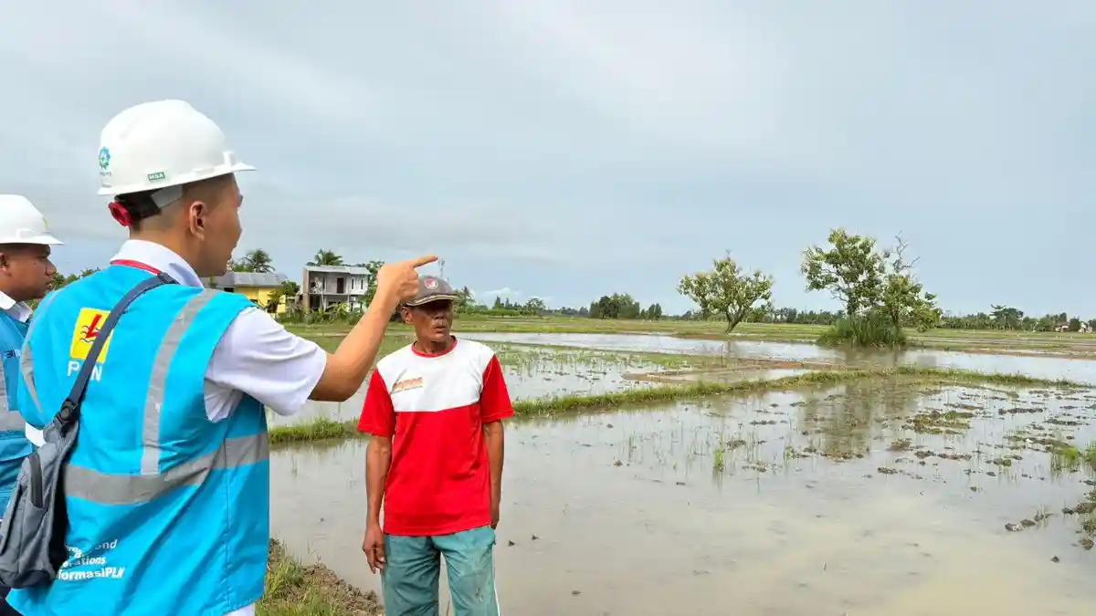 Listrik Masuk Hingga ke Sawah Petani Sejahtera dan Swasembada Pangan