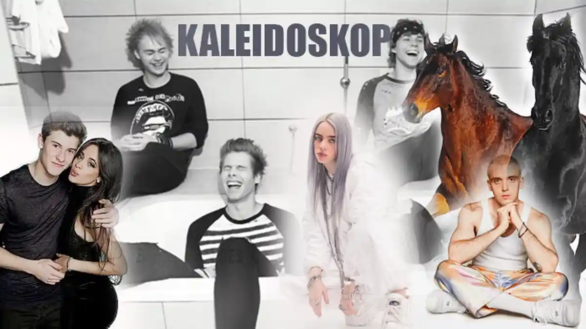 KALEIDOSKOP - Deretan Lagu Barat Hits Sepanjang 2019, dari Shawn Mendes hingga Billie Eilish
