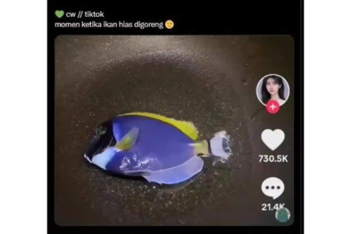 Warganet Heboh Ikan Dory Finding Nemo Dimasak, Benarkah Bisa Bikin Keracunan? Ini Penjelasan Pakar