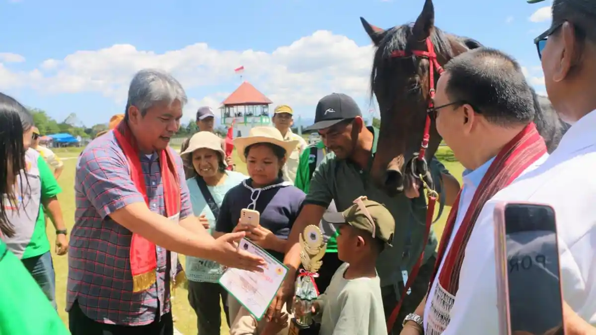 Taput Jadi Tuan Rumah Kejurnas Pacuan Kuda, 45 Ekor Kuda Ikut Pertandingan 
