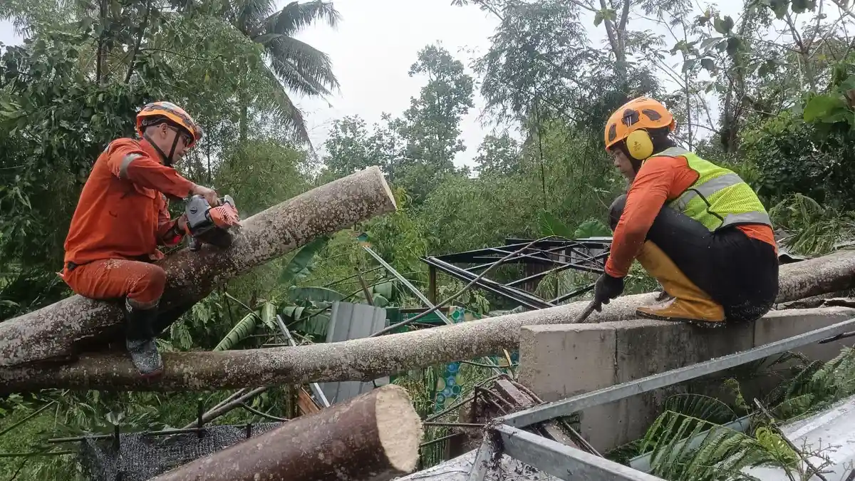 Update Data Bencana di Kota Tasikmalaya,  Ada 32 Pohon yang Tumbang