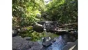 Wisata-NTT-Air-Panas-Sabu-Tobo-di-Kabupaten-Lembata.jpg