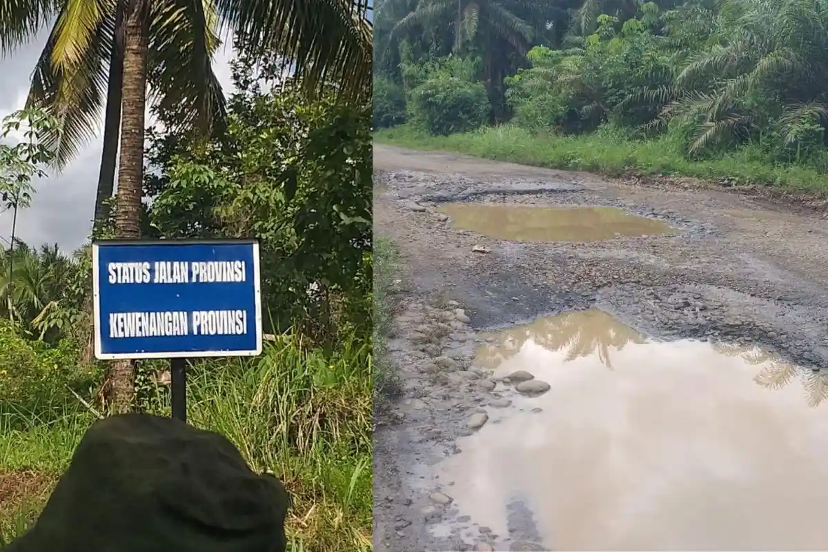 Kadis PUPR Sebut Jalan Provinsi Rusak di Bengkulu Utara Jadi Prioritas, Perbaikan Bertahap