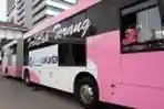 Bus Transjakarta Khusus Perempuan