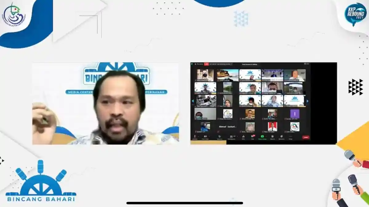 Benih Lobster Boleh Ditangkap, tapi Tidak Boleh Diekspor, KKP: Hanya untuk Riset dan Budidaya