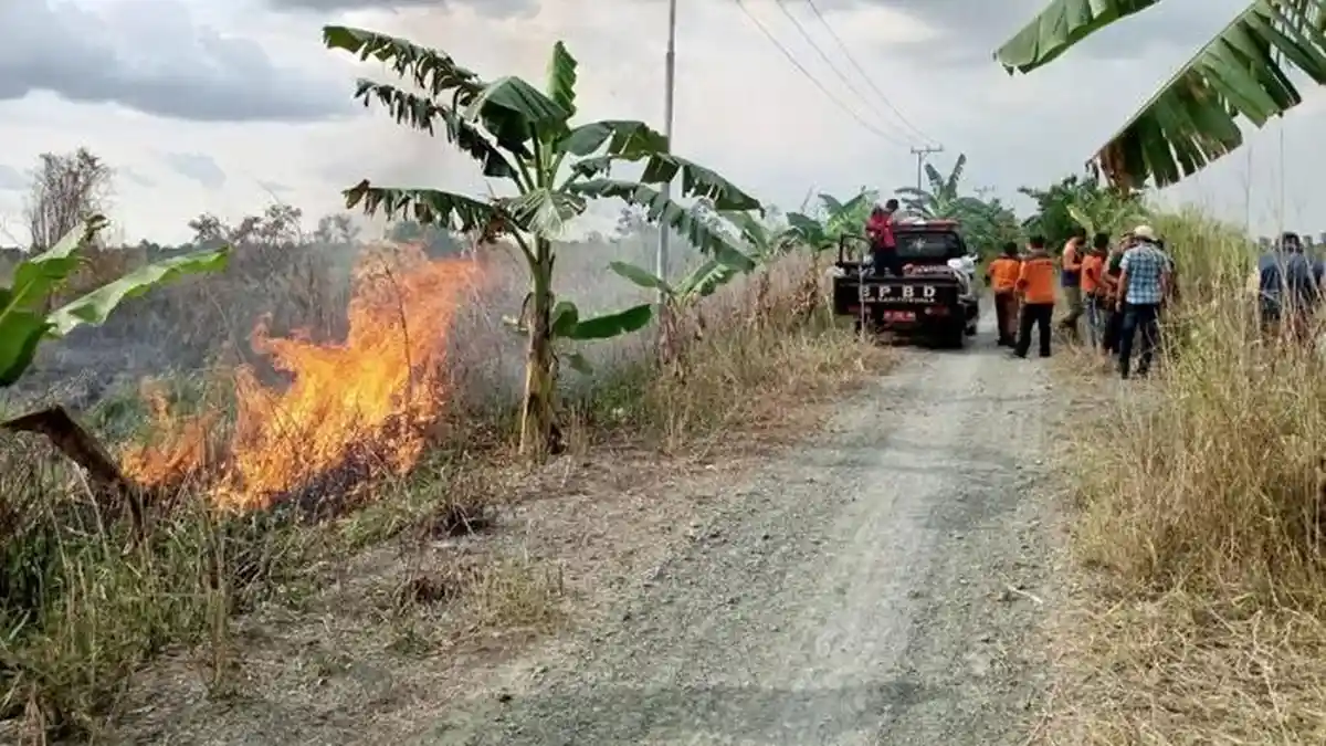 Karhutla di Batala, BPDB Sebut Terbanyak Titik Api Masih di Kecamatan Kuripan