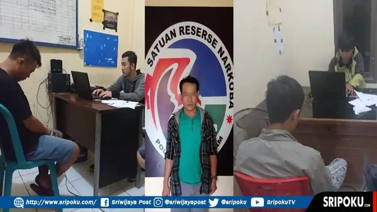 Dalam Sepekan Polres Pagaralam Tangkap Tiga Tersangka Pelaku Kasus Narkoba Sekaligus di TKP Berbeda