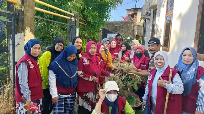 Tribun