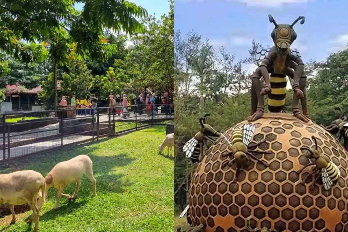 5 Tempat Wisata Peternakan di Bogor HTM Mulai Rp15.000, Interaksi Langsung dengan Hewan Jinak!