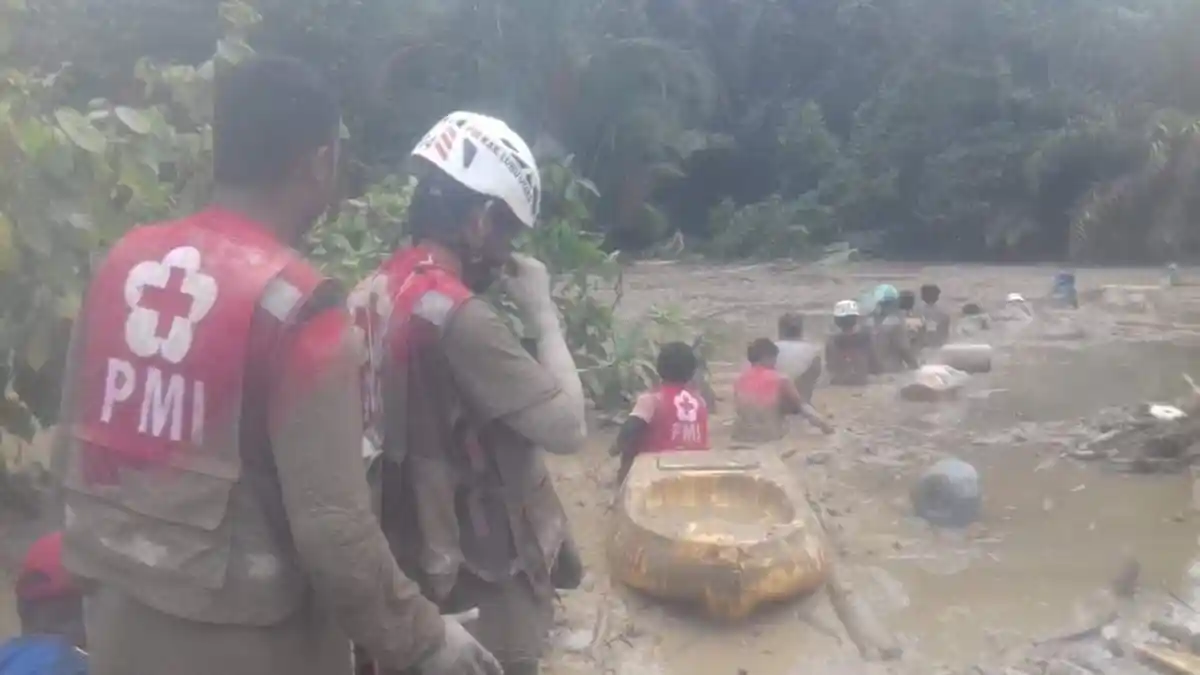 PMI Tembus Medan Berat Cari Korban Hilang Banjir Bandang Luwu Utara