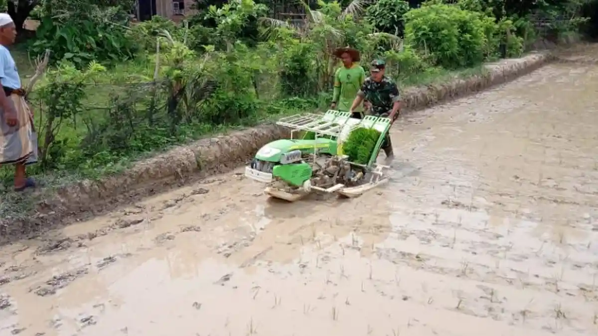 Pulihkan Ekonomi Akibat Covid-19, Pemkab Sarolangun Andalkan Program P2DK untuk Ketahanan Pangan