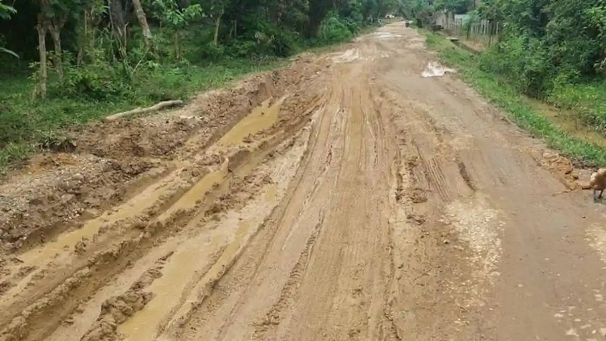 Musim Hujan, Jalan di Desa Tuo Ilir Tebo Makin Rusak Parah