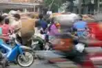 Penjual Hewan Qurban