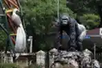 Libur Lebaran Kebun Binatang Ragunan Masih Ditutup untuk Umum