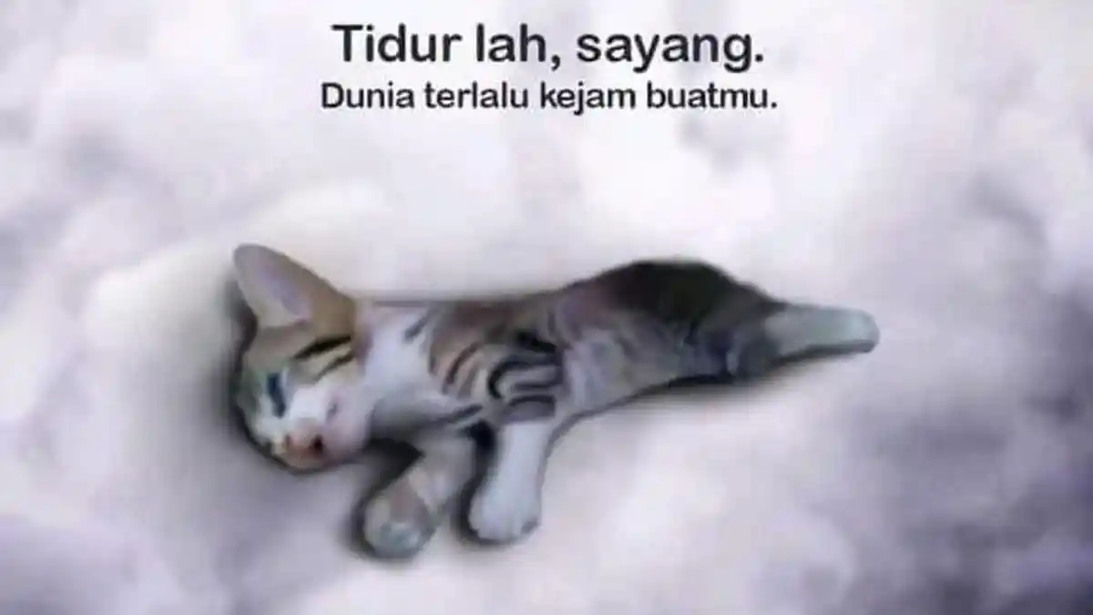 Pertanda Kuang Baik, Ini 5 Arti Mimpi Tentang Hewan Mati