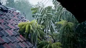 ilustrasi-hujan-lebat-di-kampung.jpg