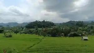 Suasana-wisata-treking-di-Banjar-Dinas-Iseh-Desa-Sinduwati-Kecamatan-Sidemen.jpg