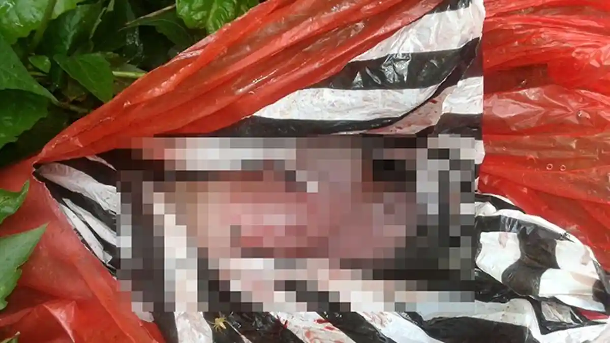 Petugas Kebersihan Buka Kantong Kresek di Sungai, Isinya Jasad Bayi