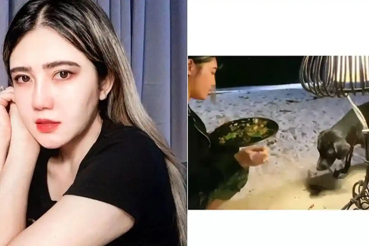 Potret Wanita Cantik Beri Makan Anjing Jalanan Tuai Pujian Netizen, Ternyata Artis Via Vallen