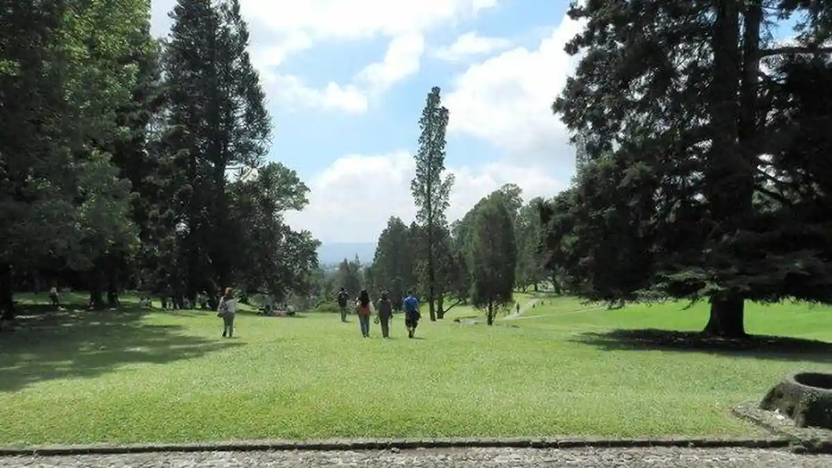 Kebun Raya Cibodas, Tempat Wisata Alam di Puncak Bogor yang Sejuk dan Asri