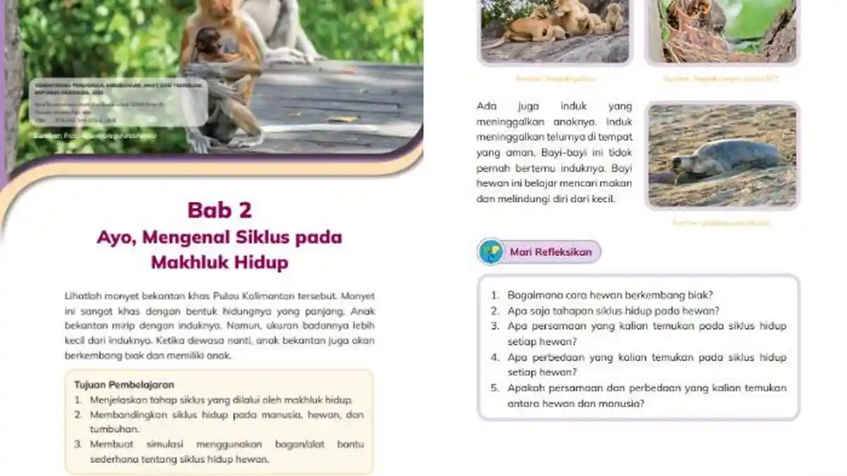 Kunci Jawaban IPAS Kelas 3 Halaman 43 Kurikulum Merdeka Bab 2: Mari Refleksikan