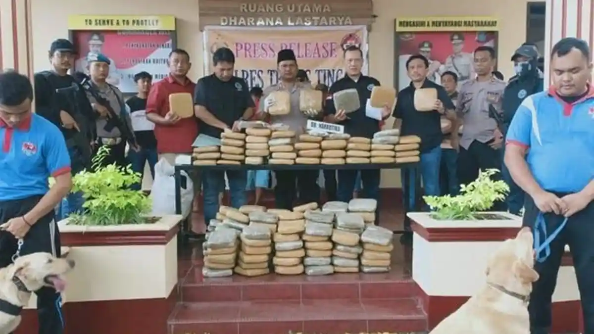 BNN dan Polres Tebing Tinggi Ungkap Kasus Kepemilikan 191 Kg Ganja Kering