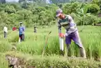 Patok-tanah.jpg